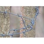 Rust Resistance Double Twisted PVC Coated /Galvanized Barbed Wire Coils for sale