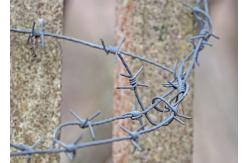 China Rust Resistance Double Twisted PVC Coated /Galvanized Barbed Wire Coils supplier