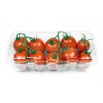 Biodegradable Plastic Sheet Biodegradable Plastic Sheet Catering Packing Tray
