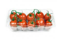 China Biodegradable Plastic Sheet Biodegradable Plastic Sheet Catering Packing Tray supplier