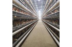 China H Shaped Small Stacked Layer Chicken Cage 6 Layers Customized supplier