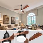 Single Decoration Ceiling Lamp Fans with Remote Control and Operation for sale