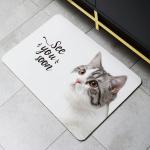 4mm Thick Non Slip Diatomite Bath Mat For Bathroom