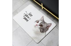 China 4mm Thick Non Slip Diatomite Bath Mat For Bathroom supplier