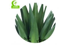 China Real Touch Height 100cm Green Artificial Succulents In Pots supplier