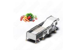 China High Capacity Fruit Brush Washing Machine Small supplier