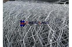 China 20G Fox Proof Chicken Wire Netting 36 Inches 150 Feet Consistant Appearance supplier