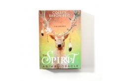 China Biodegradable Animal Spirit Oracle Cards Matt Laminated 70*120mm supplier