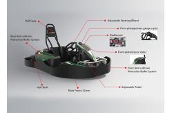 China APP Adjustment Control 50km/h Electrical Go Kart supplier