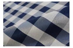 China Customized Waterproof Picnic Mat Foldable With Strong Abrasion Resistance supplier