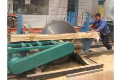 China Cheap Cutting Large Wood Circular Sawmill with Log Carriage For Selling supplier