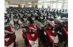 China Electric Folding Bike manufacturer