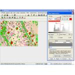 Metallurgical Image Analysis Measuring Software With Edge Detection for sale