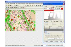 China Metallurgical Image Analysis Measuring Software With Edge Detection supplier