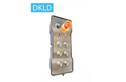 China Six-way dual speed switch industrial remote control supplier