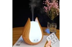 China HOMEFISH 24V Ultrasonic Office Fragrance Diffuser 550g supplier