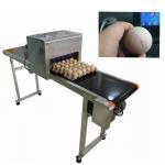 Egg Thermal Inkjet Printer / Industrial Ink Jet Printer With ABC Standard Font for sale