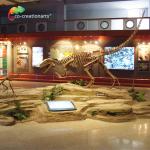 Sunproof Resin Dinosaur Skeleton Gasosaurus Skull for sale
