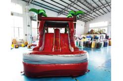 China ROHS Palm Tree Inflatable Bouncer Slide Jumping Bouncy Castle supplier