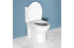 China Siphonic One Piece Water Closet Toilet Dual Flush Sanitary Ware supplier