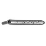 Plate and Screw  Proximal Femur Plates Titanium Implant for proximal femoral fracture for sale
