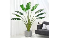 China 200cm Traveller'S Palm Artificial Landscape Trees For Low Maintenance Evergreen Plants supplier