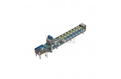 China Lifting Apple Grading Fruit Processing Equipment For Classifying supplier