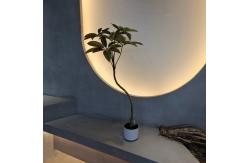 China Transform Your Business with 110cm Artificial schefflera tree from Top Suppliers supplier