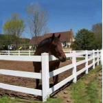 4 Rails Welded Wire Farm Fence Square Post SGS Certification
