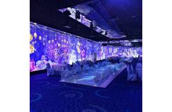 China Customized Outdoor Forest 3d Mapping Interactive Projector Immersive Visual Projection supplier