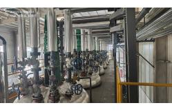 China Wet Process Liquid Sodium Silicate Production Line Customized supplier