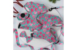 China Neoprene Breathable Dog Walking Kit Flora Puppy Leashes Harnesses supplier