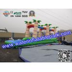 PVC Inflatable Single Lane Slip , Inflatable Water Slide Single Slip