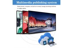 China 43 Inch Wall Mounted Ad Player Wifi Digital Signage Advertising LCD Display Screen supplier