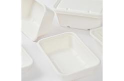China Disposable 550ml Sugarcane Bagasse Box Biodegradable Food Container With Lid supplier