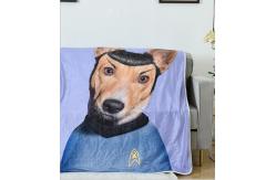 China Double Layer Thick Flannel Blanket 150X200cm With Printing Pattern supplier