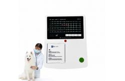 China Veterinary 12 Lead Ekg Electrocardiogram Ecg Machine 3 Channel Printer PC Software supplier