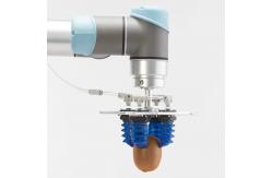 China 2100g Flexible Robot Gripper Handling Irregular Items supplier