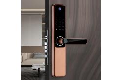 China S802pro Camera Door Lock ROHS Digital Door Lock With Camera supplier