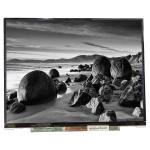 LTD121EDDX 60Hz TFT LCD display for Laptop for sale