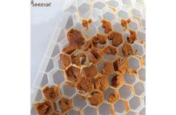 China Apiculture Honey Beehive Accessories Plastic Bee Feeder For Pollen Beekeeping Tools supplier