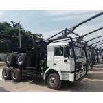 430Hp Wood Logging Truck SHACMAN F3000 6x4 10wheels Lumber Delivery Truck for sale