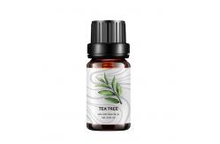 China Pure Bulk Tea Tree Essential Oil 10ml Diffuser Aromatherapy Essential Oil COA supplier