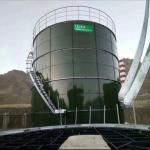 800m3 Anaerobic Digester Tank CSTR Advanced Waste Digester Biogas Tank for sale