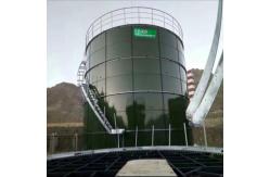 China CSTR Anaerobic Digester Septic Tank Anaerobic Digestion Tank For Cattle Farms supplier