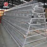 4 Layers / Cell A Type Layer Battery Chicken Cage 43*41*41 Cm for sale