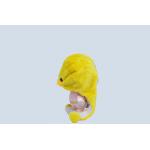 25CM Plush Duck Dog Toy , Yellow Stuffed Duck Dog Toy With Two Earflaps