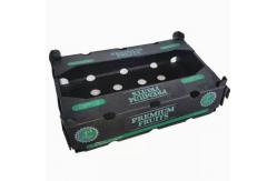 China Width 2200mm Fruit Packaging Boxes Polypropylene Fruits Packing Plastic Box supplier