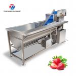 180KG Multifunctional vegetable washing machine eddy current washing machine stainless steel material for sale