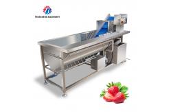 China 180KG Multifunctional vegetable washing machine eddy current washing machine stainless steel material supplier